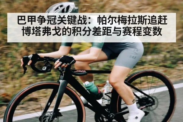 巴甲争冠关键战：帕尔梅拉斯追赶博塔弗戈的积分差距与赛程变数